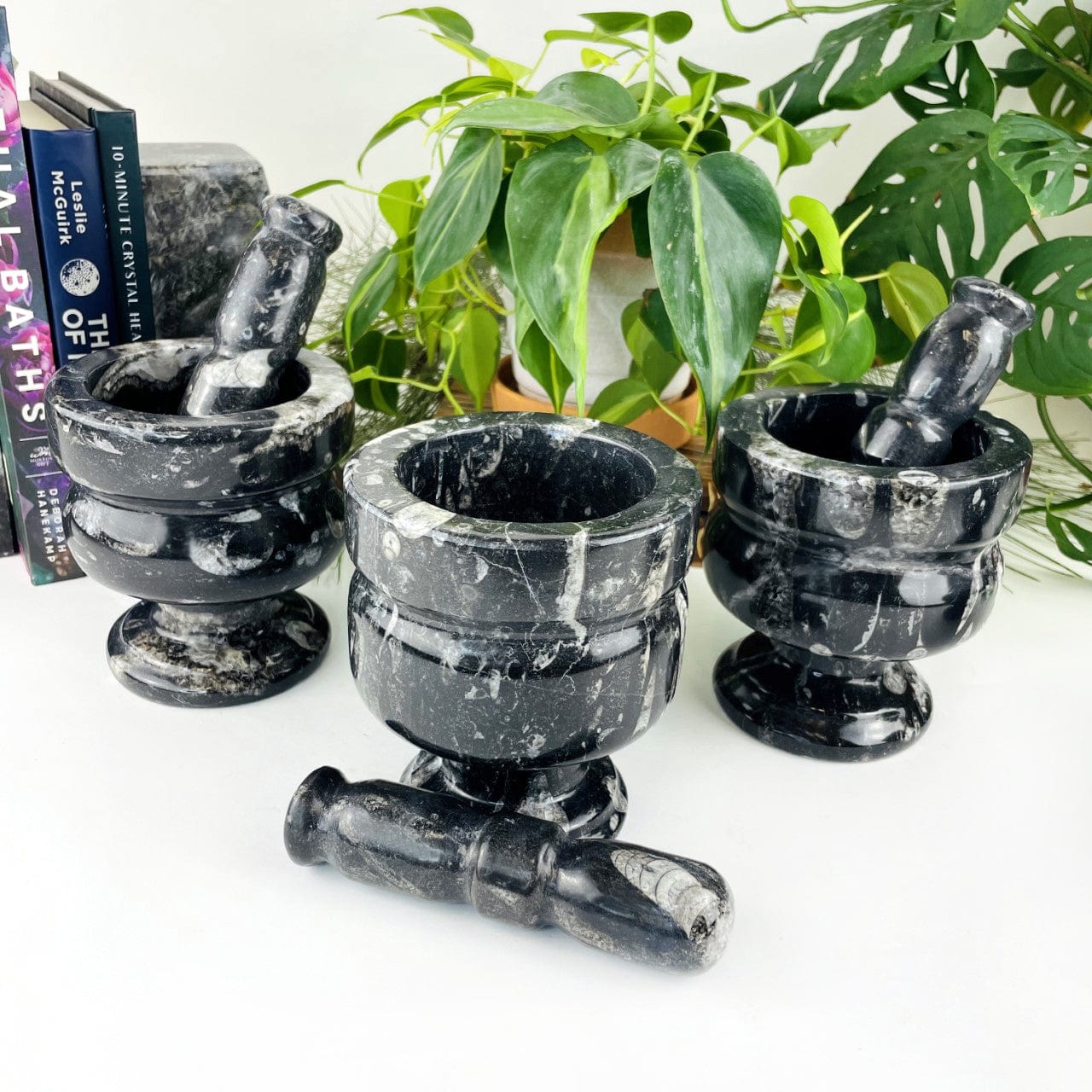 3 Orthoceras Fossil Mortar and Pestles on display