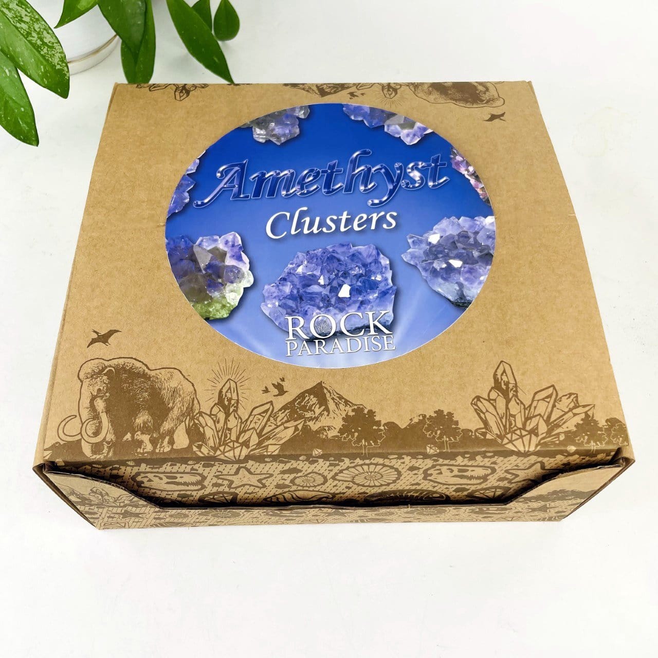 Amethyst Aura Crystal - Box of Geodes - Point of Purchase Display