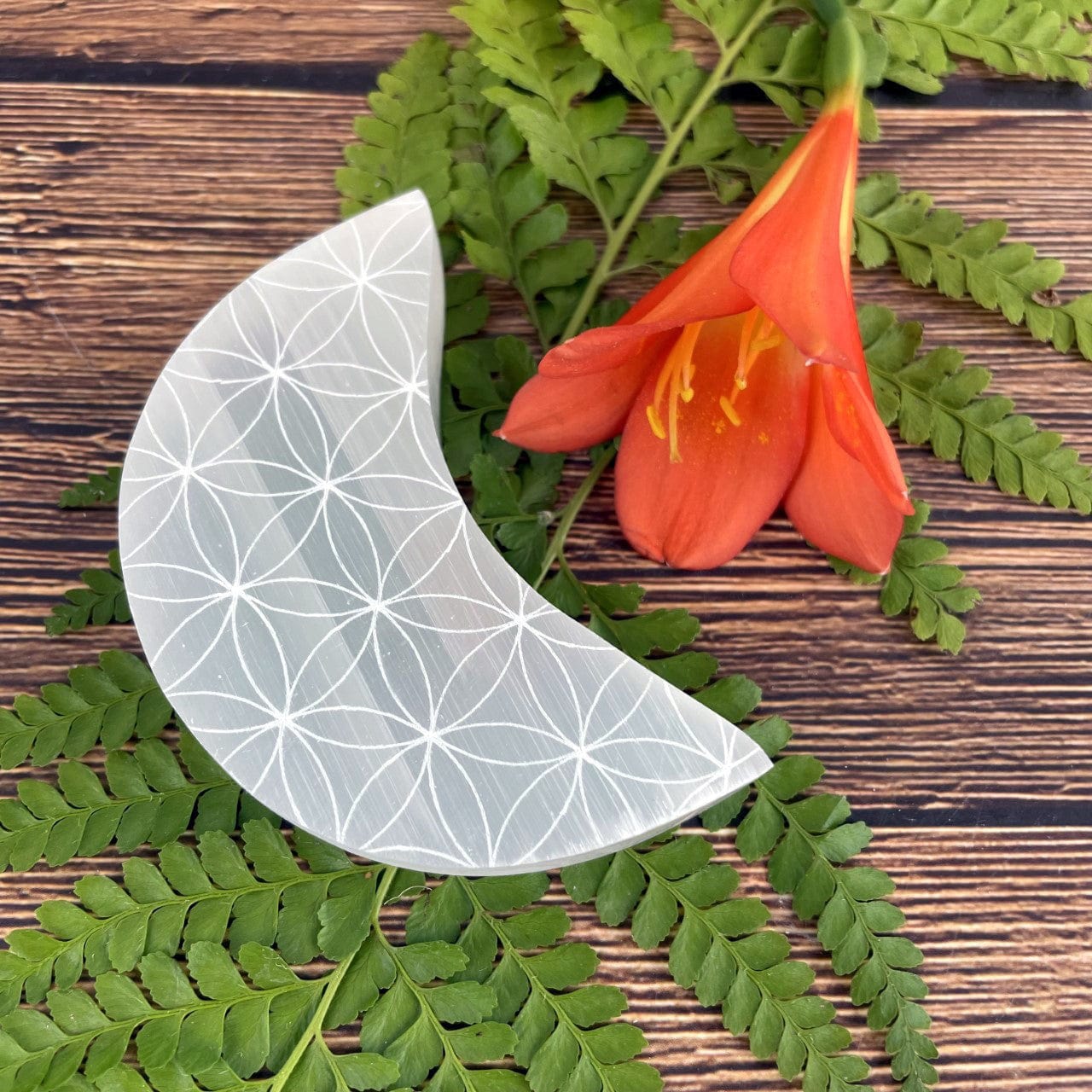selenite moon with flower of life grid on a fern leaf and brown background