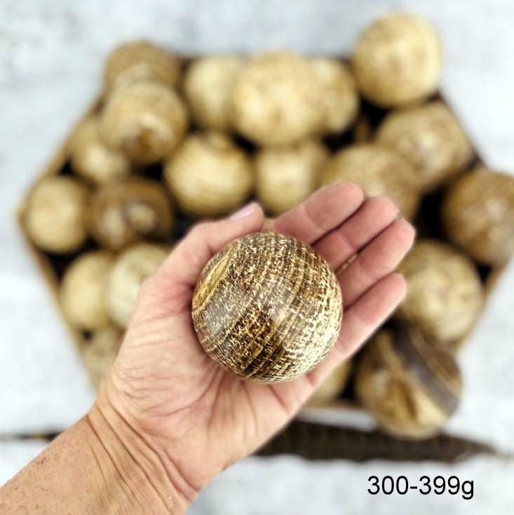 Aragonite Polished Spheres size 300-399g in hand for size reference