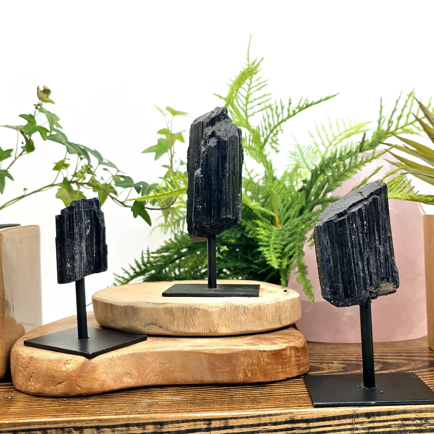 Black Tourmaline Crystal on Metal Stand - 3 different ones on wooden shelf with props and plants in the background
