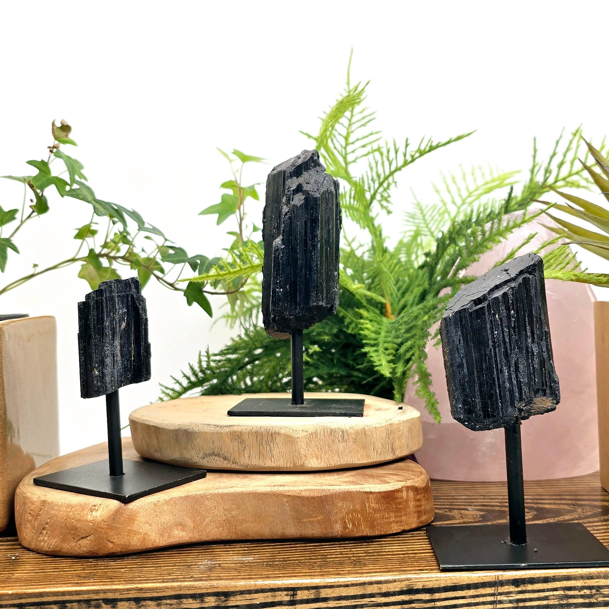 Black Tourmaline Crystal on Metal Stand - 3 different ones on wooden shelf with props and plants in the background