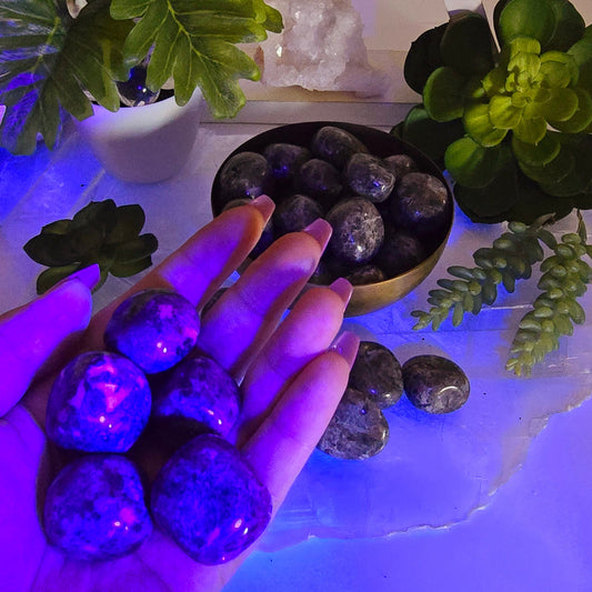 Yooperlite Tumbled Stones - Medium Size - 1/2 lb or 1 lb - UV Reactive! in hand under UV light