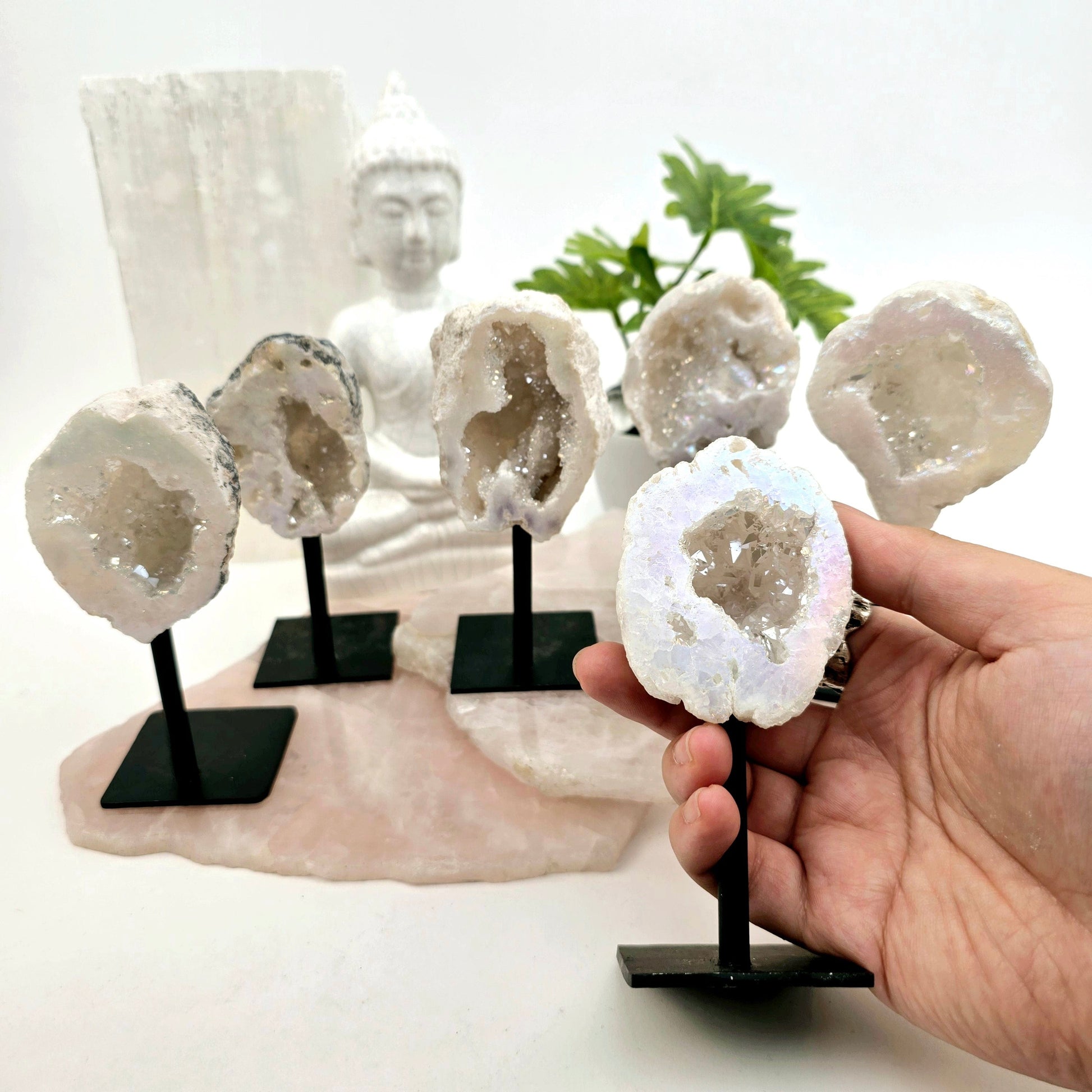 Moroccan Aura Geode on Metal Stand in hand for size reference with 5 others in the background on stone platters with props and plants