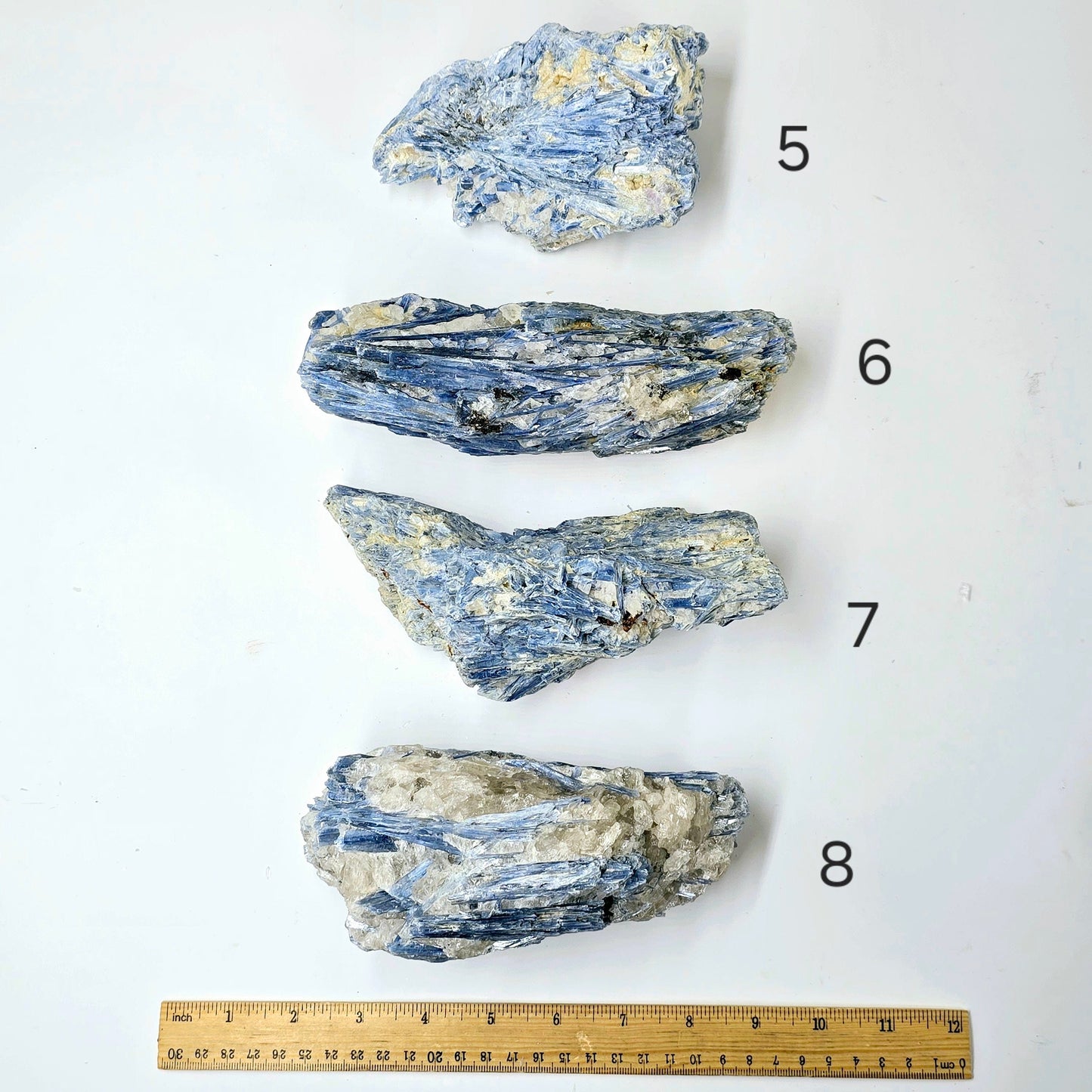  Blue Kyanite - Rough Crystal on Matrix - YOU CHOOSE #3 variants 5, 6, 7, and 8 labeled with ruler for size reference