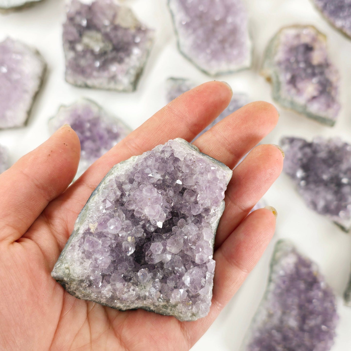 Amethyst Crystal Clusters - You Choose Quantity - 1, 5, 10 on in hand for size reference with others in the background