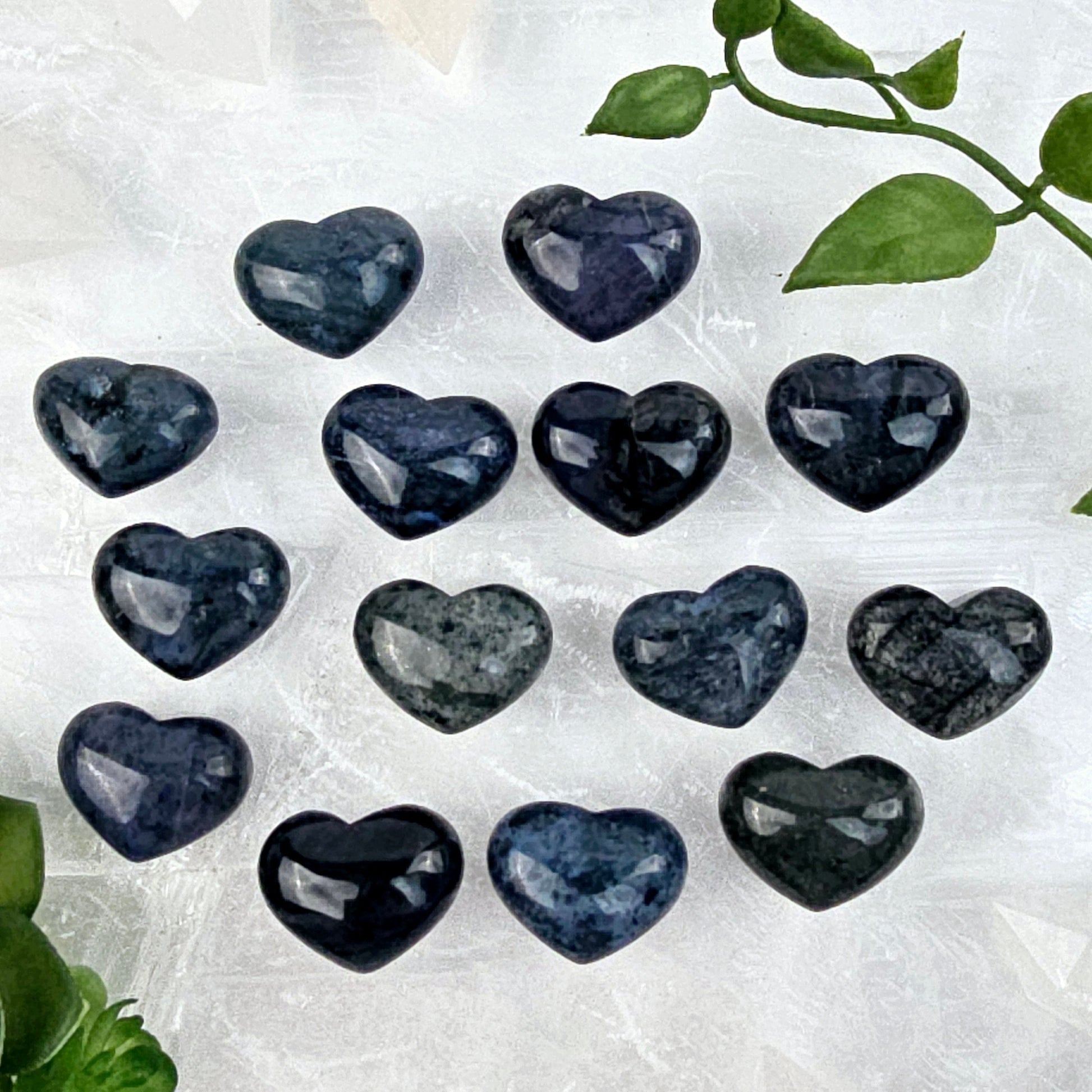 Sodalite Small Crystal Heart fourteen shown front view top view on selenite platter with plants