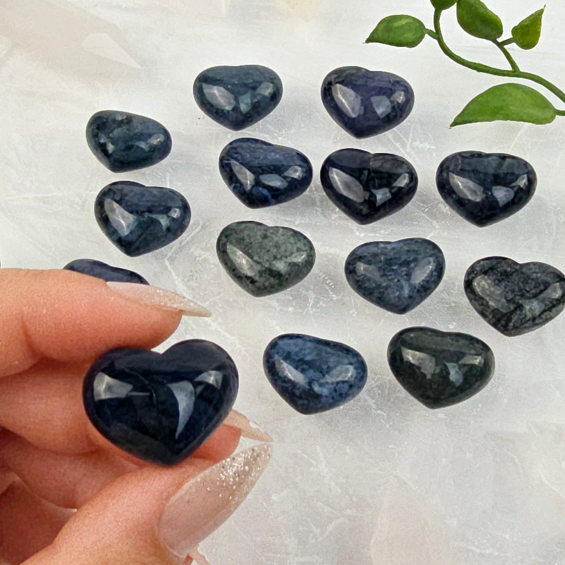 Sodalite Small Crystal Heart one in hand for size reference with others in background on selenite platter with plant