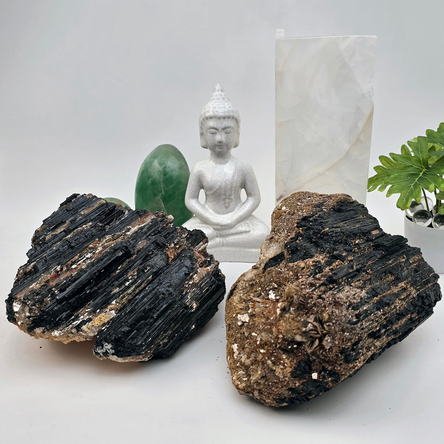 Black Tourmaline with Mica - Large Rough Crystal Cluster - You Choose both variants with props and plants in the background