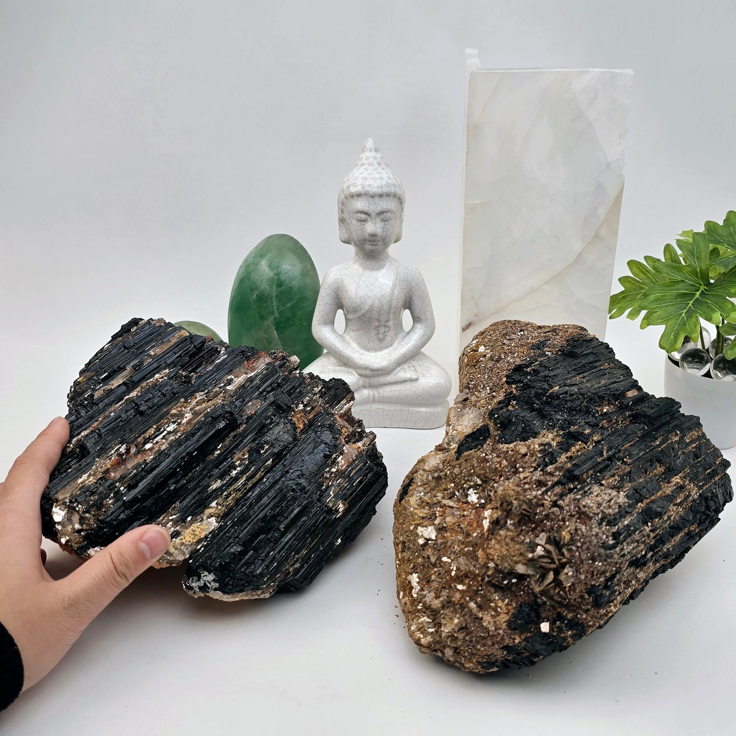 Black Tourmaline with Mica - Large Rough Crystal Cluster - You Choose - variant A in hand for size reference with other variant on white surface with props and plants in the background