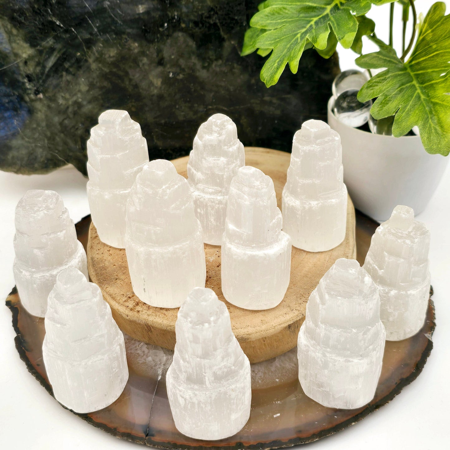 Petite Raw Selenite Crystal Tower - Pack of 10 - Bulk Crystals - ten on agate and wood platter with dark stone platter in the background and a plant