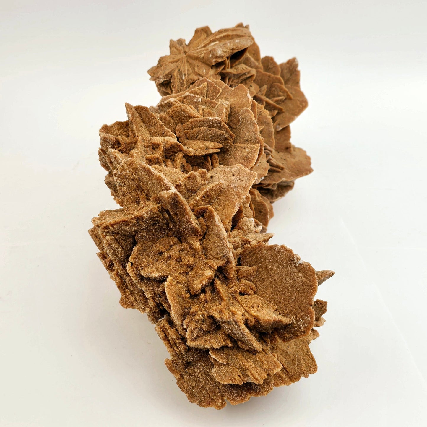 Desert Rose - Sand Rose Crystal Cluster from Morocco #3 side view