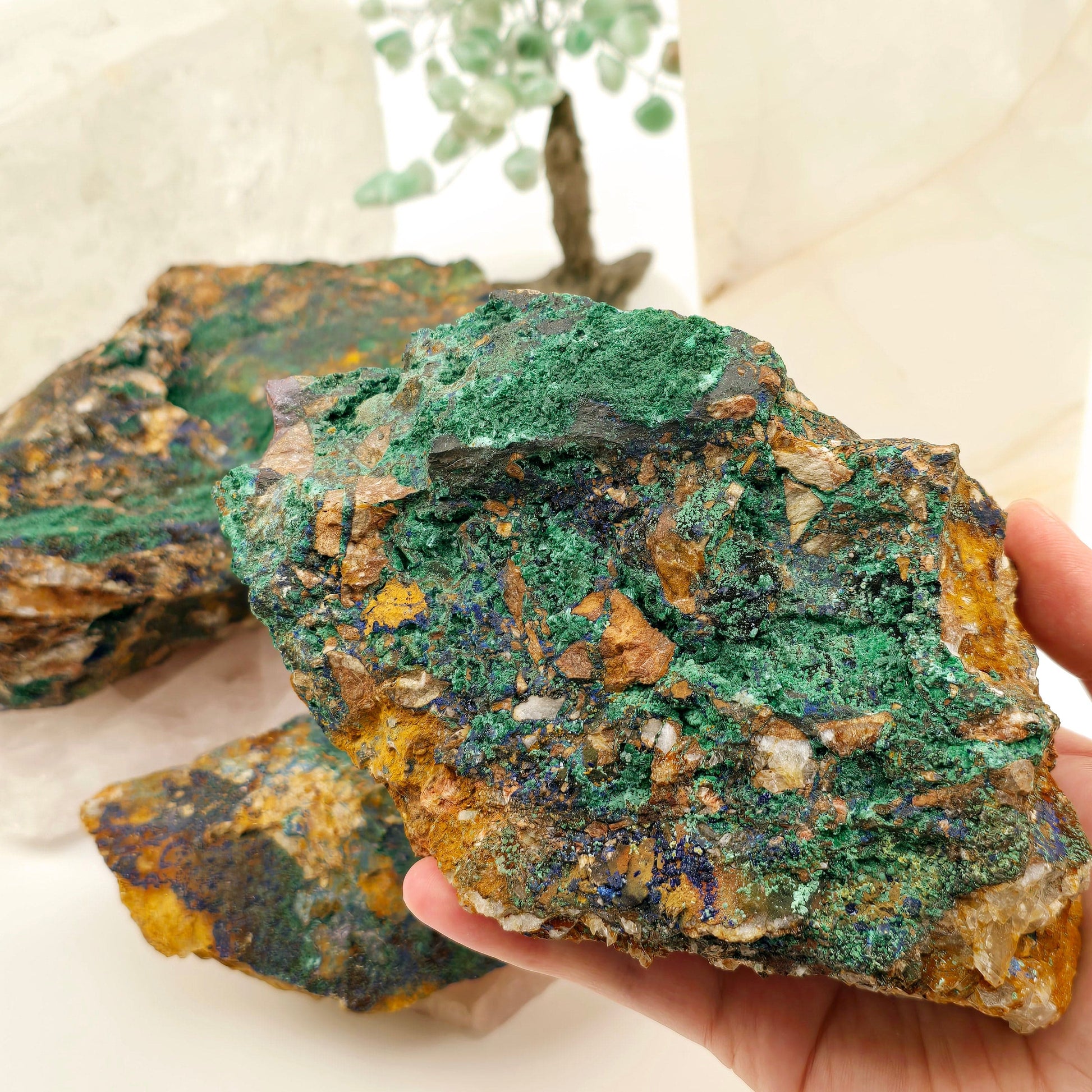 Azurite with Malachite Crystals on Matrix - You Choose #1 - variant 2 in hand for size reference with other variants in the background with props