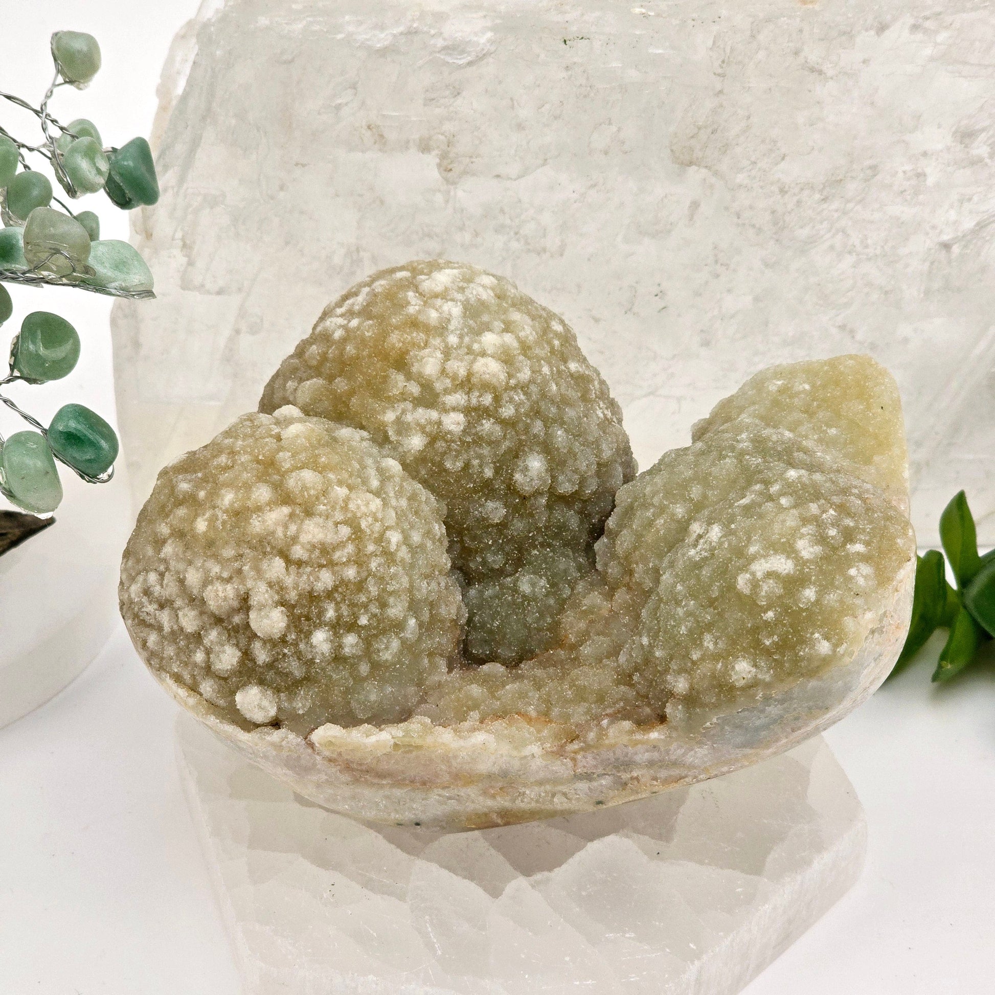 Pink Amethyst Druzy Crystal Cluster - One-of-a-Kind front view with props and plants in the background