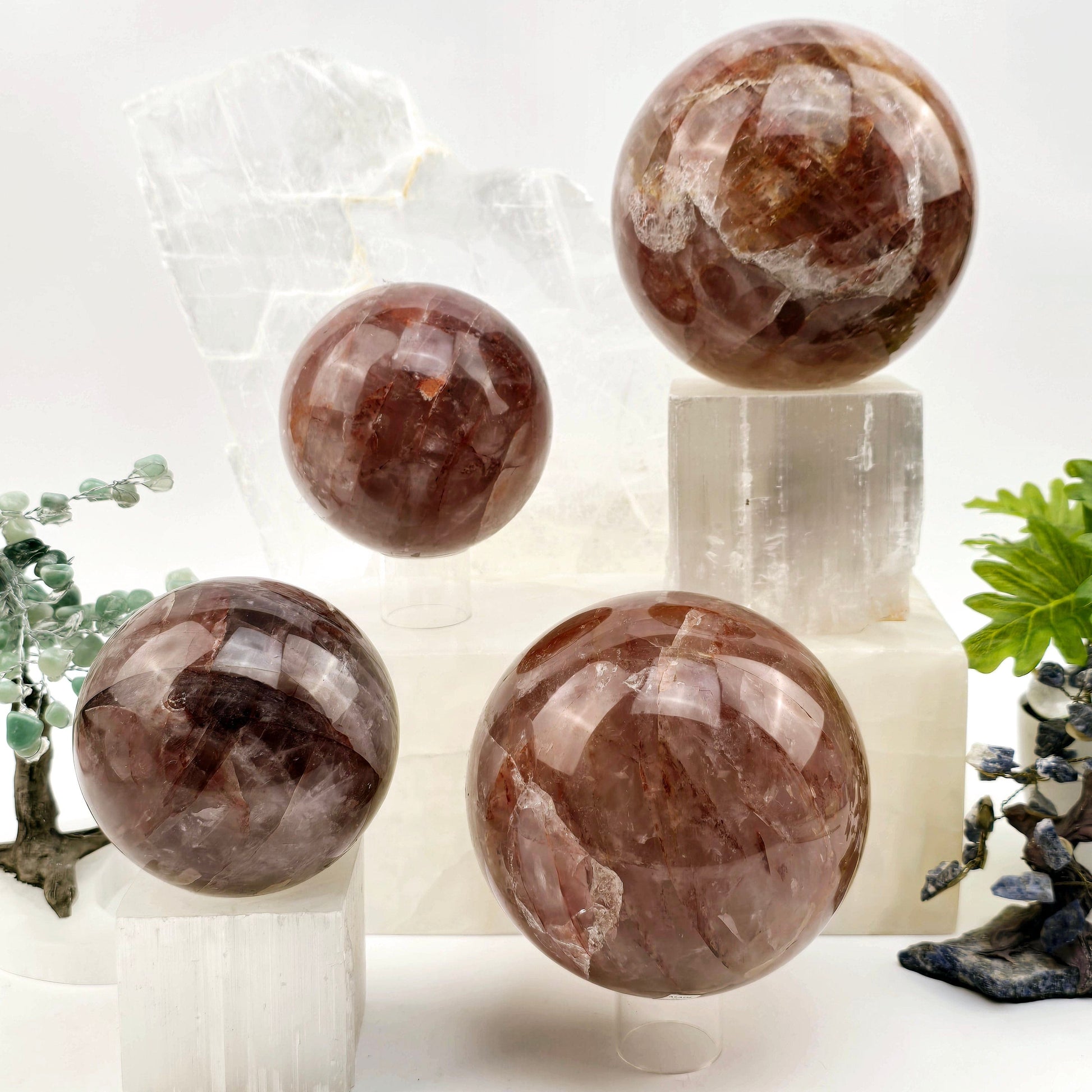 Guava Quartz Polished Crystal Sphere - By Weight both weight variants on sphere stands with props and plants in the background