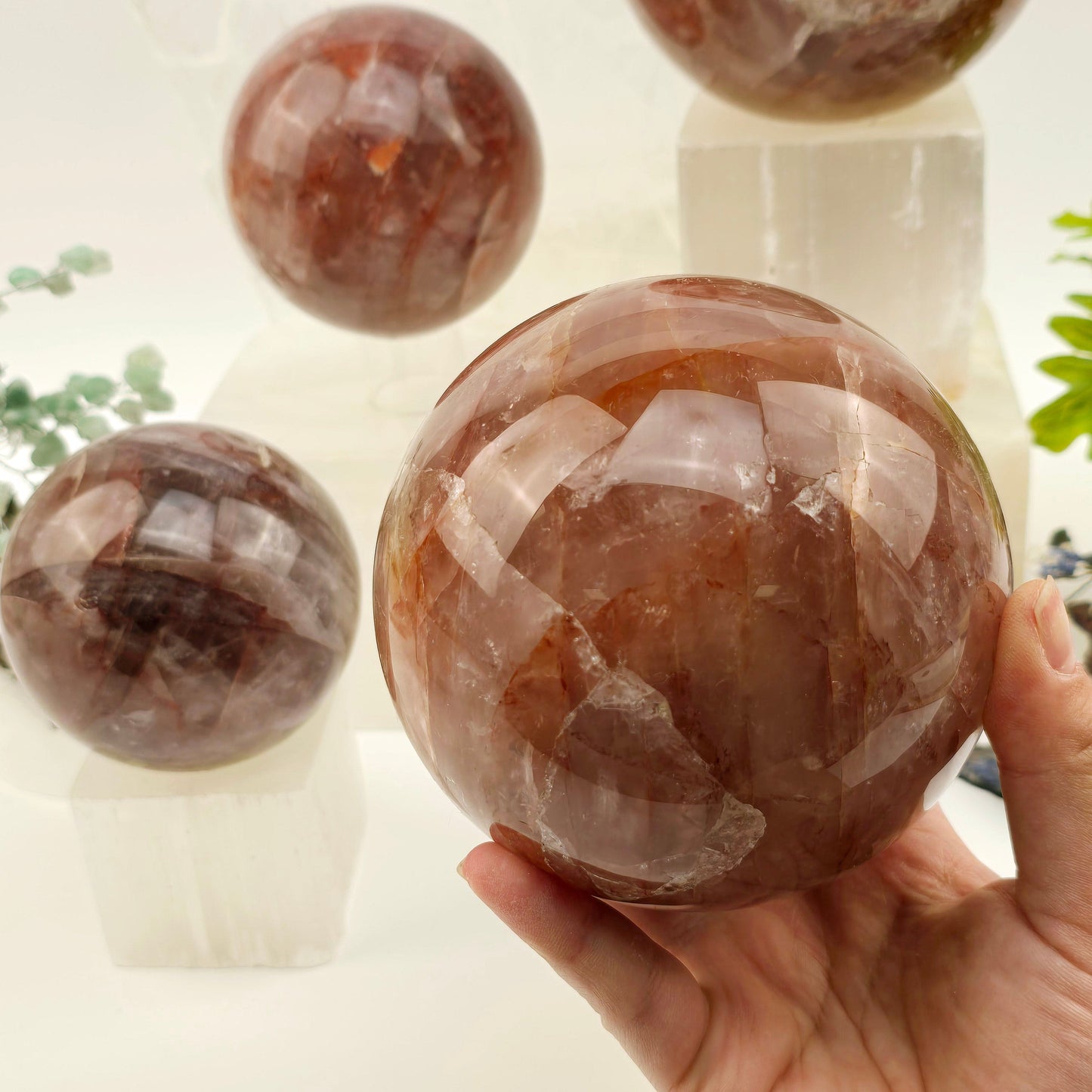 Guava Quartz Polished Crystal Sphere - By Weight - 2 kg to 3 kg weight variant in hand for size reference with other variants in the background with props and plants