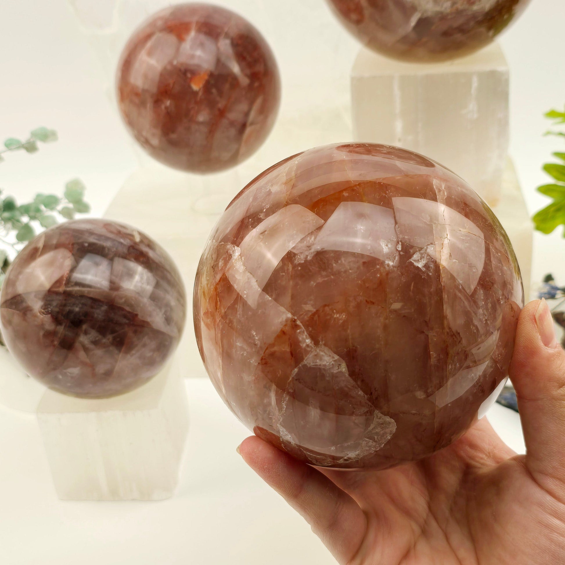 Guava Quartz Polished Crystal Sphere - By Weight - 2 kg to 3 kg weight variant in hand for size reference with other variants in the background with props and plants