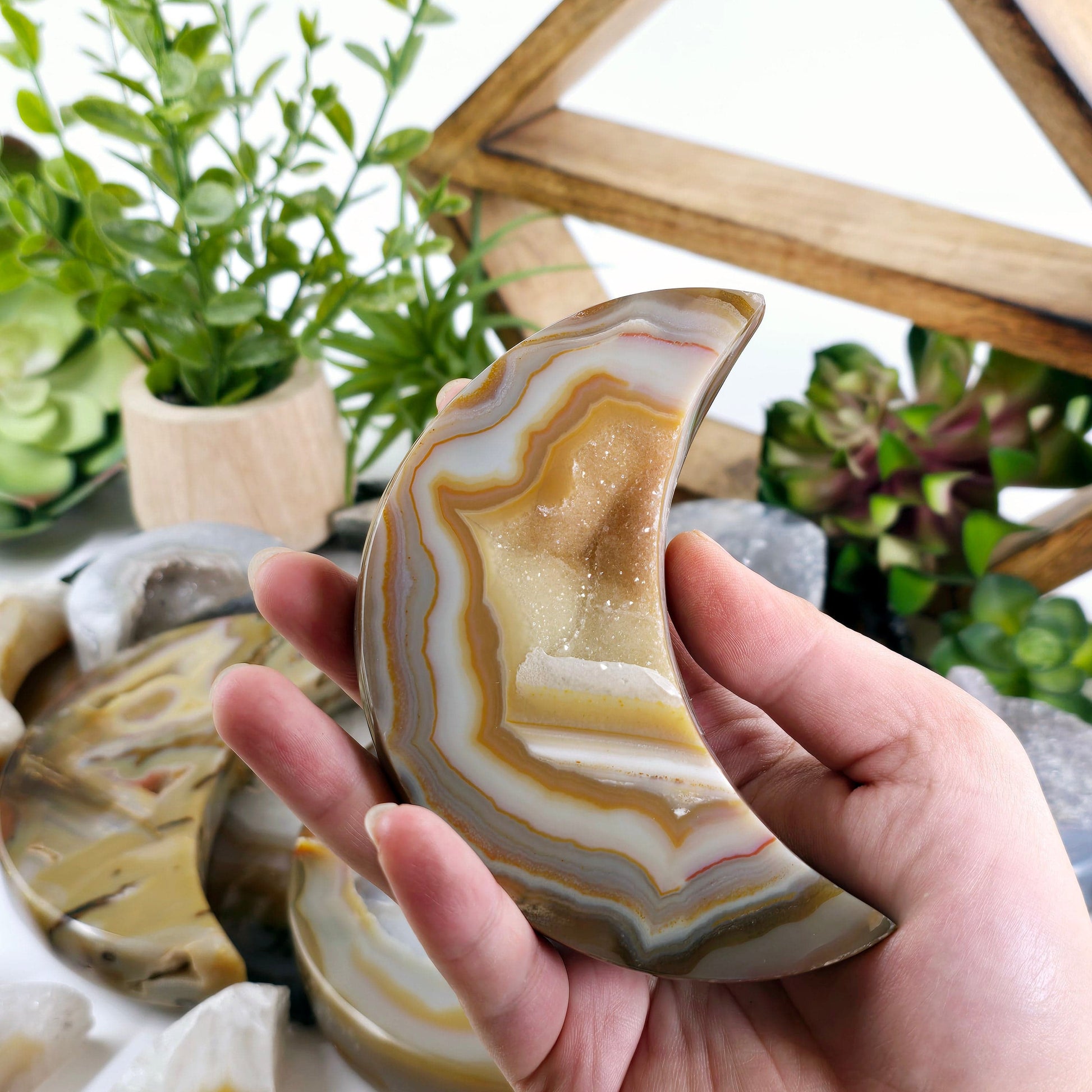Agate Druzy Crystal Moon - You Choose  variant 10 in hand for size reference with other variants in the background with props and plants