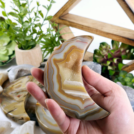 Agate Druzy Crystal Moon - You Choose  variant 10 in hand for size reference with other variants in the background with props and plants