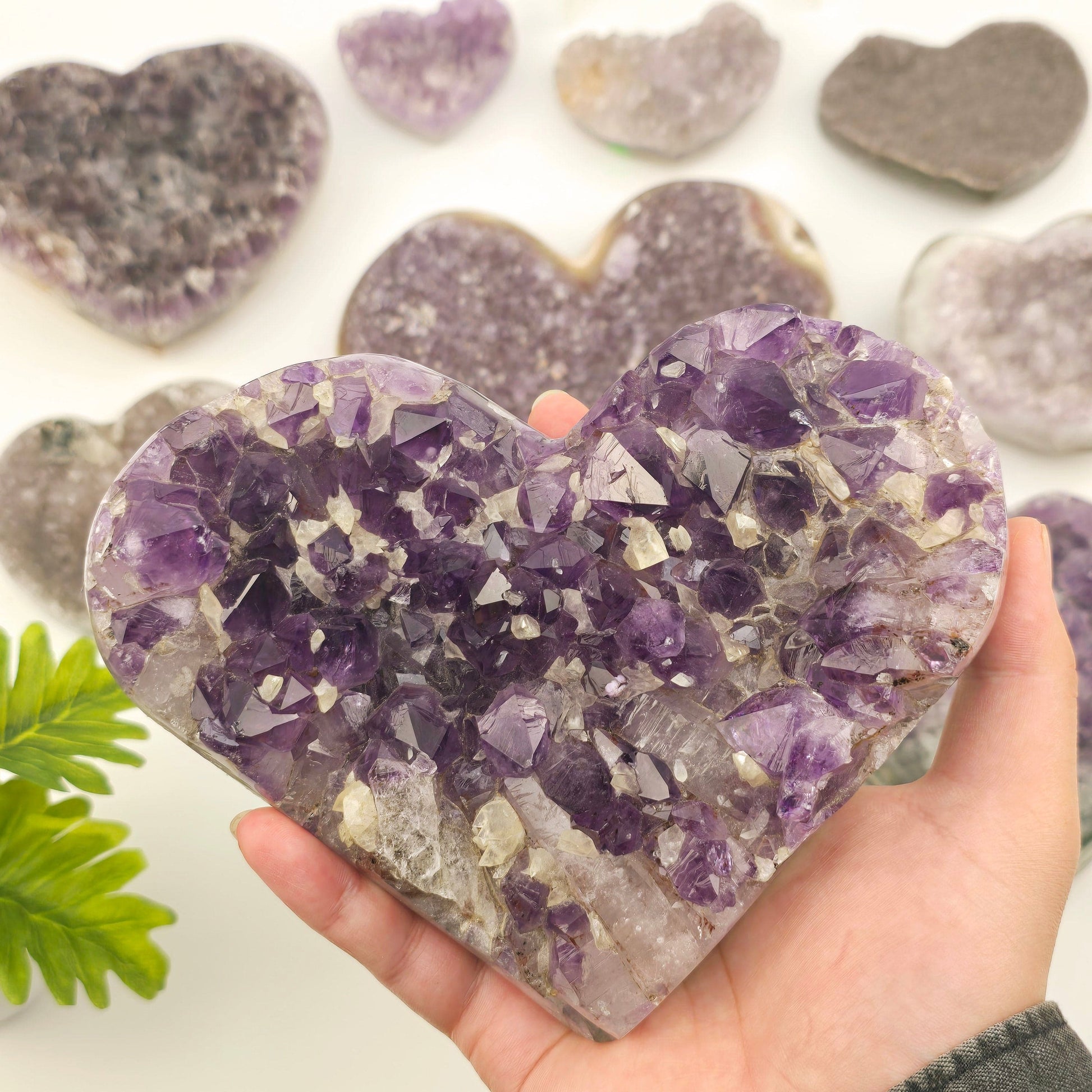 Amethyst Crystal Heart - You Choose #1 variant 7 in hand for size reference with other variants in the background with plants