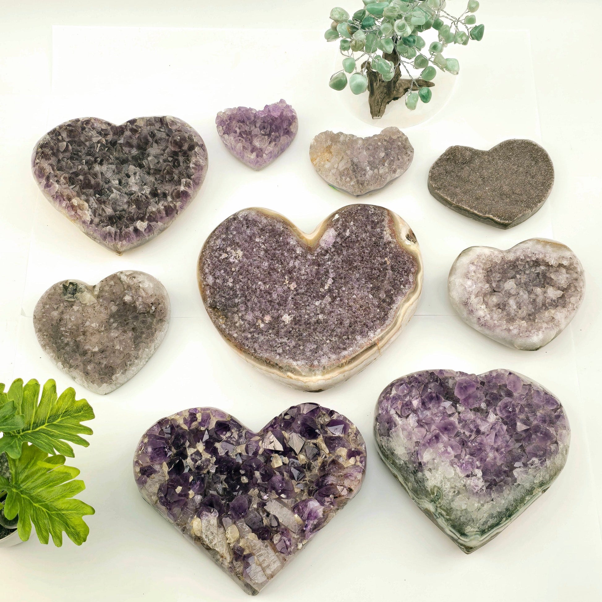 Amethyst Crystal Heart - You Choose #1 all variants top view with props and plants