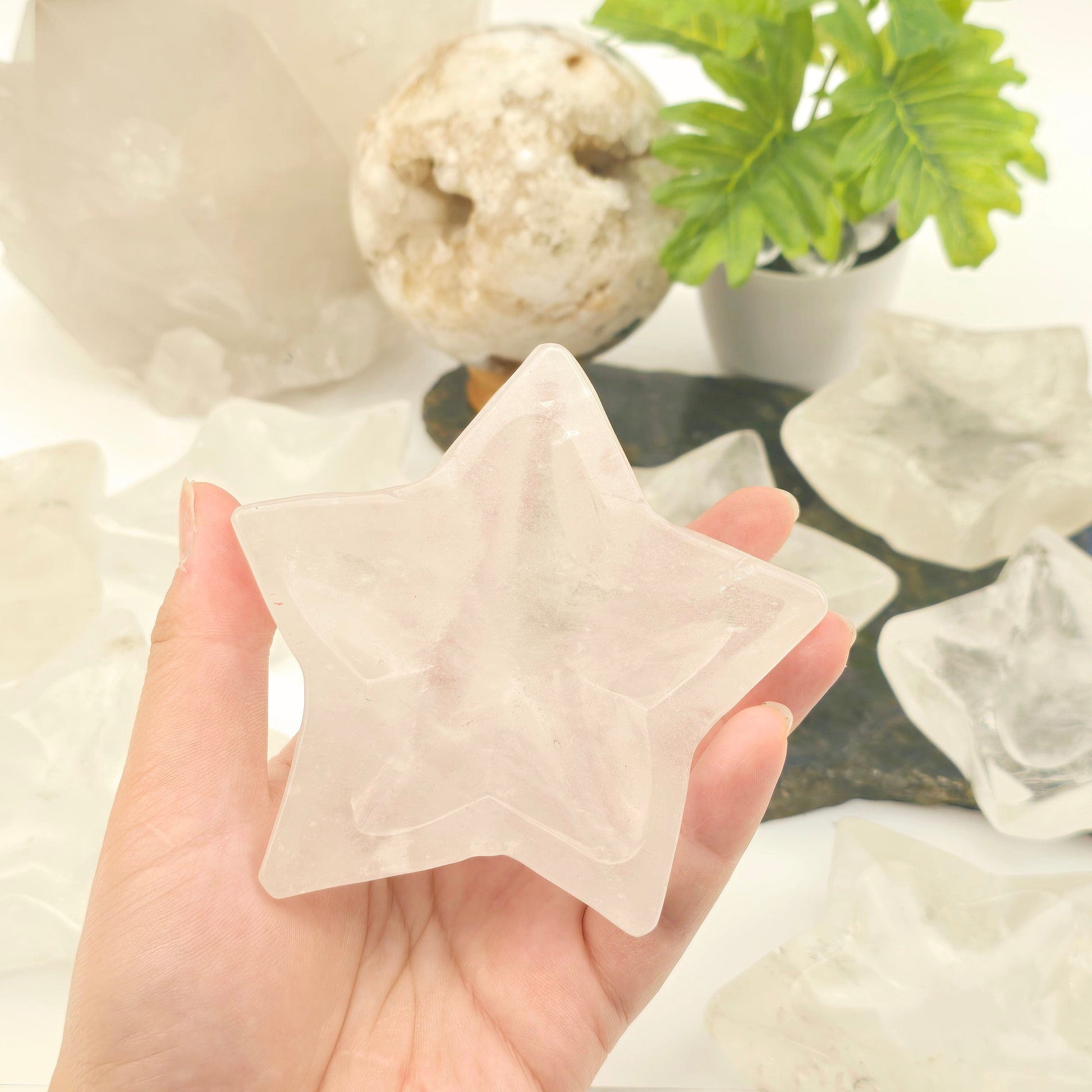 Crystal Quartz Star Dish - You Choose #1 - one in hand for size reference with others in background with props and plants
