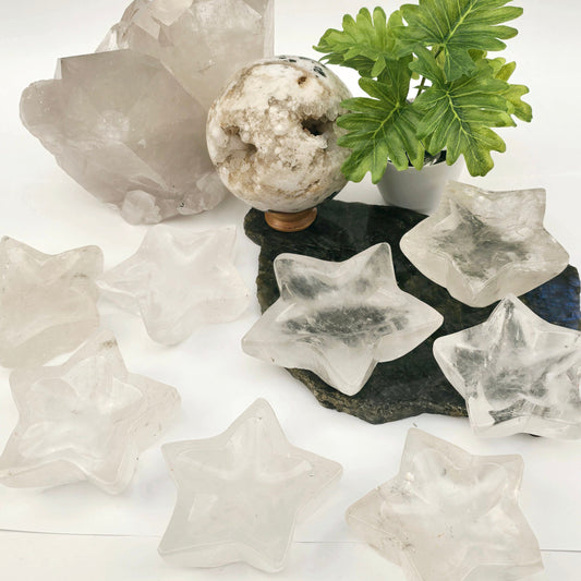 Crystal Quartz Star Dish - You Choose #1 all variants with props and plants side view