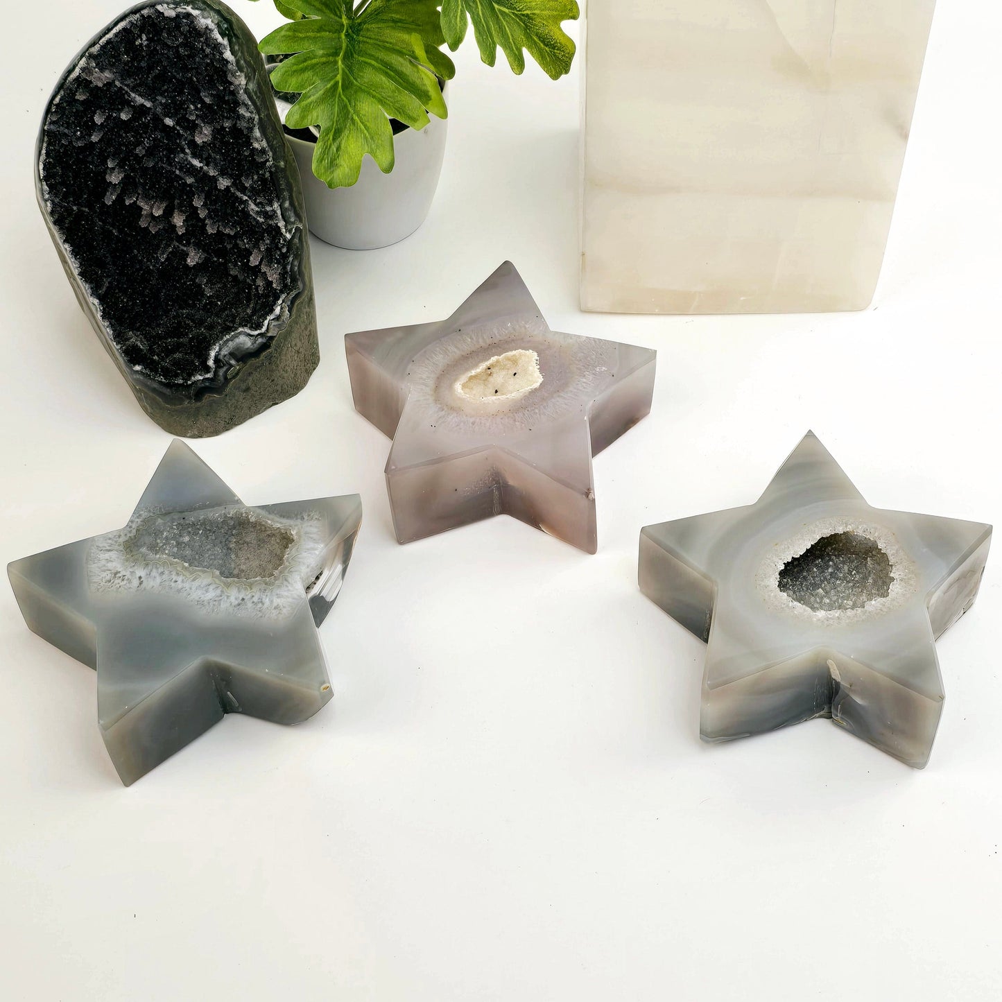 Natural Agate Druzy Crystal Star - You Choose all variants with plants and props in the background