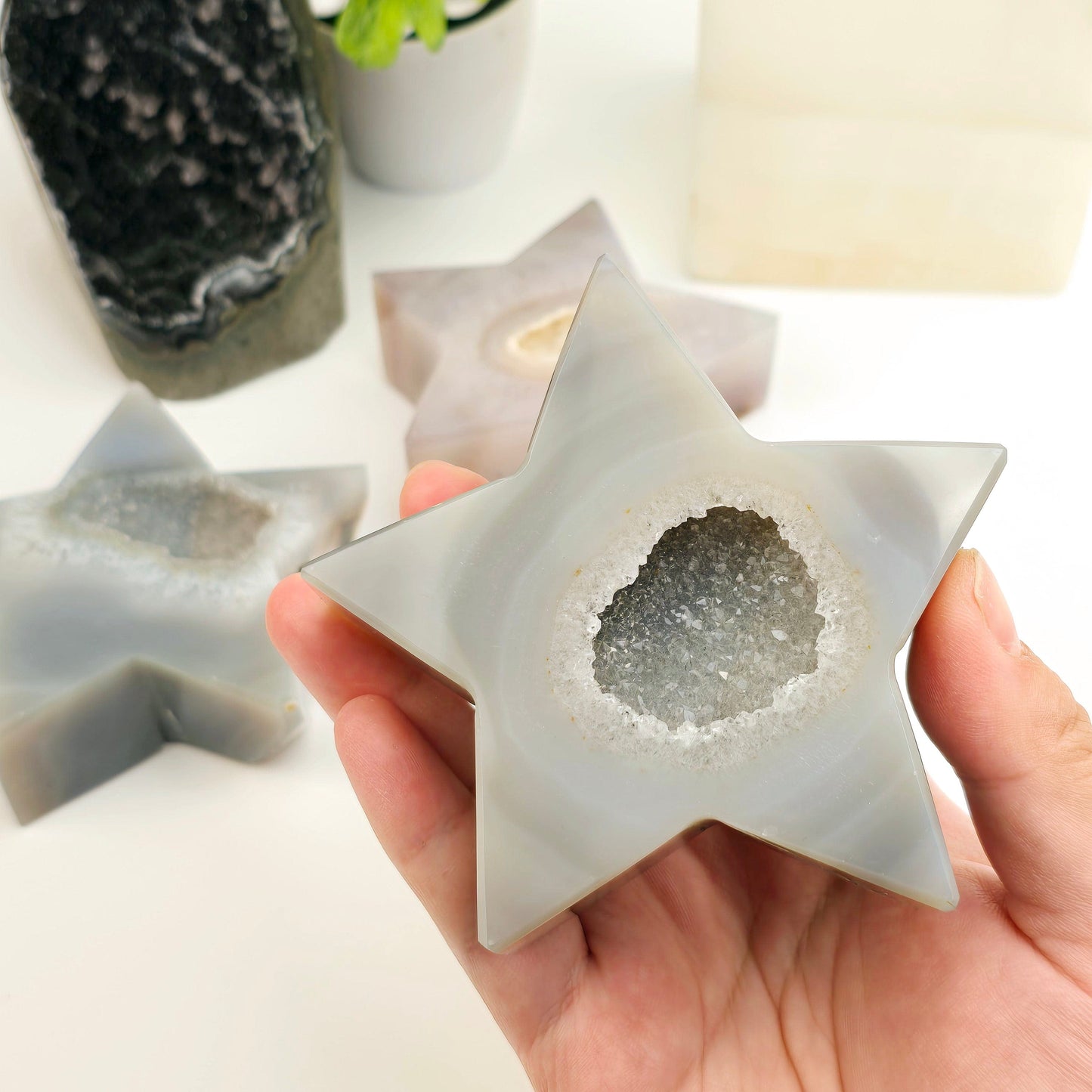 Natural Agate Druzy Crystal Star - You Choose variant 3 in hand for size reference with others in the background with props and plants