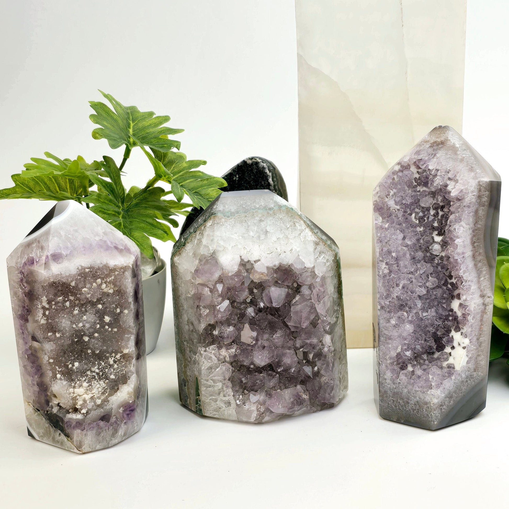 Agate Amethyst Polished Crystal Point - You Choose #2 all variants with props and plants in the background