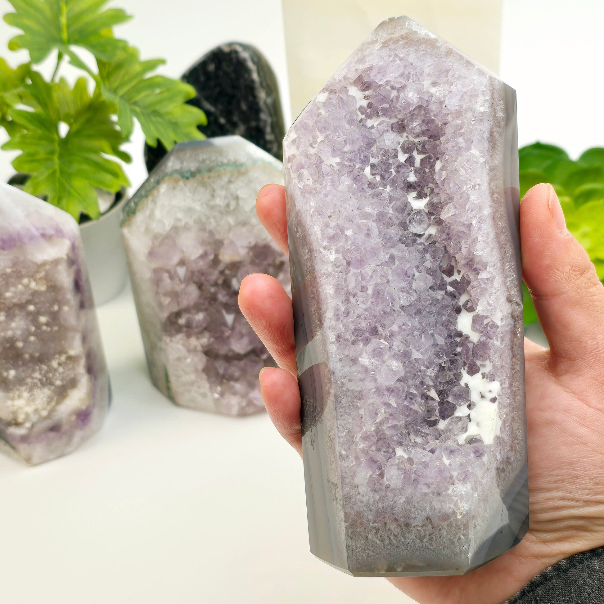 Agate Amethyst Polished Crystal Point - You Choose #2 - variant 3 in hand for size reference with other variants in background with props and plants