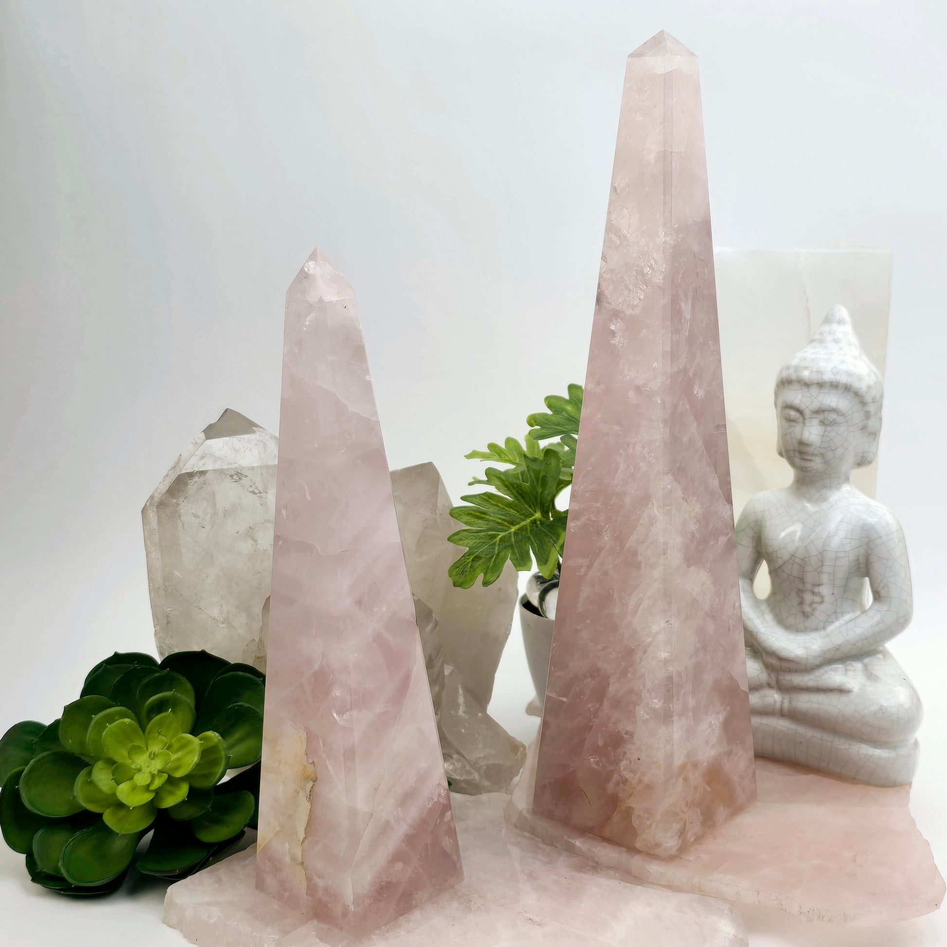 Rose Quartz Polished Crystal Obelisk - You Choose- both variants with props and plants in the background