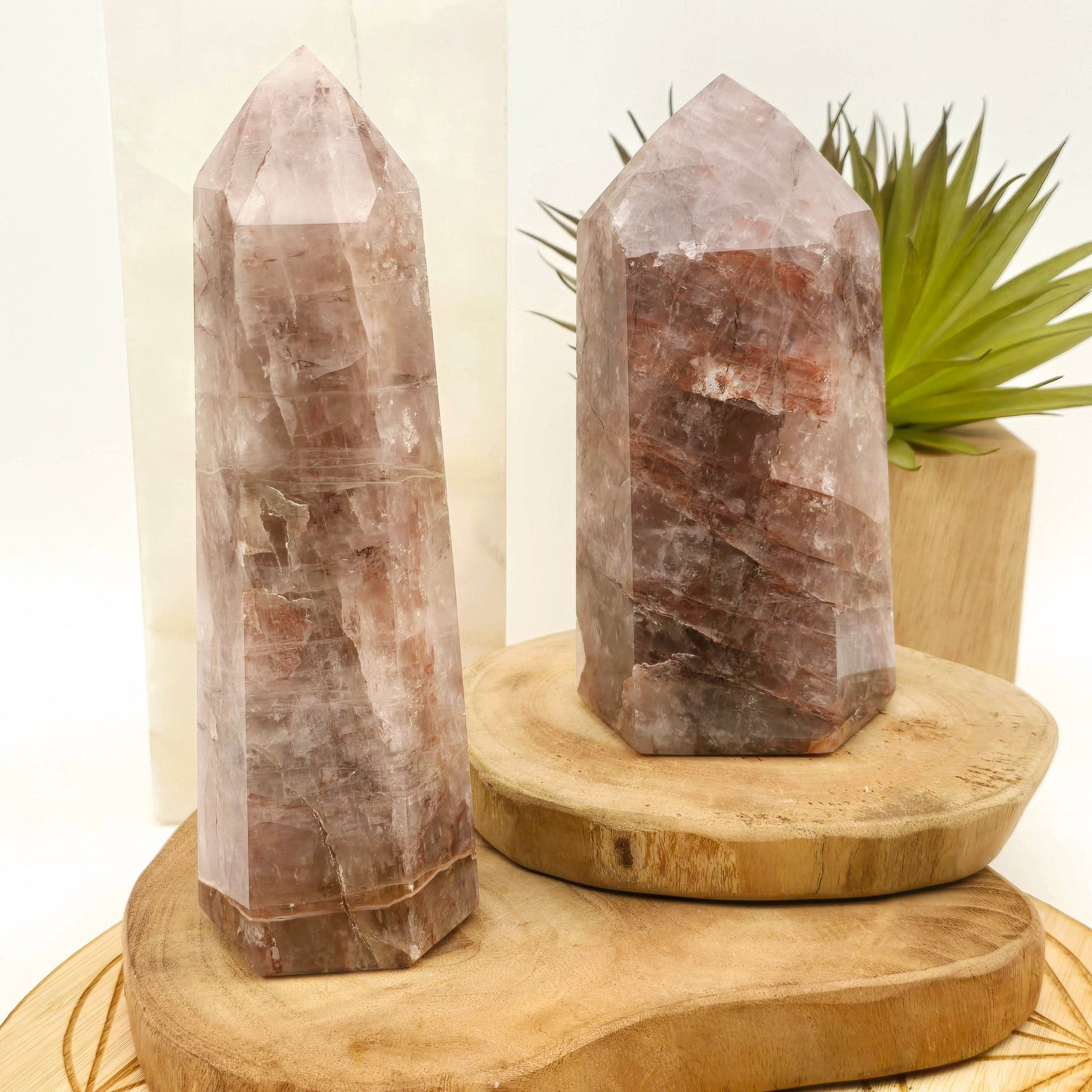 Hematoid Quartz Polished Crystal Point - You Choose both variants on wooden platters with props and plants in the background