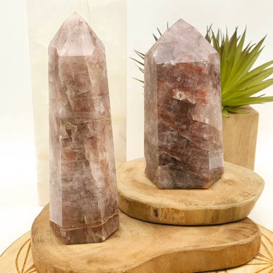 Hematoid Quartz Polished Crystal Point - You Choose both variants on wooden platters with props and plants in the background