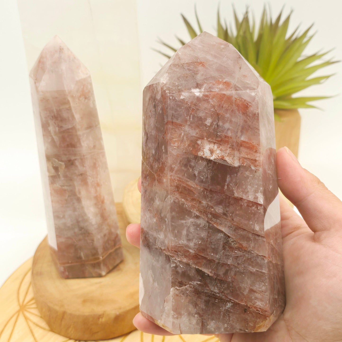 Hematoid Quartz Polished Crystal Point - You Choose one in hand for size reference with other in background with props and plants