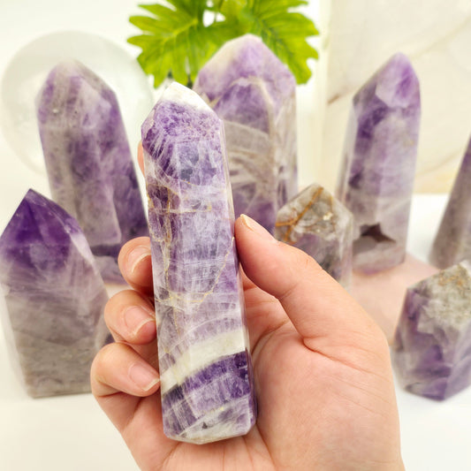 Chevron Amethyst Polished Crystal Point YOU CHOOSE - variant 3 in hand for size reference with other variants in the background with props and plants