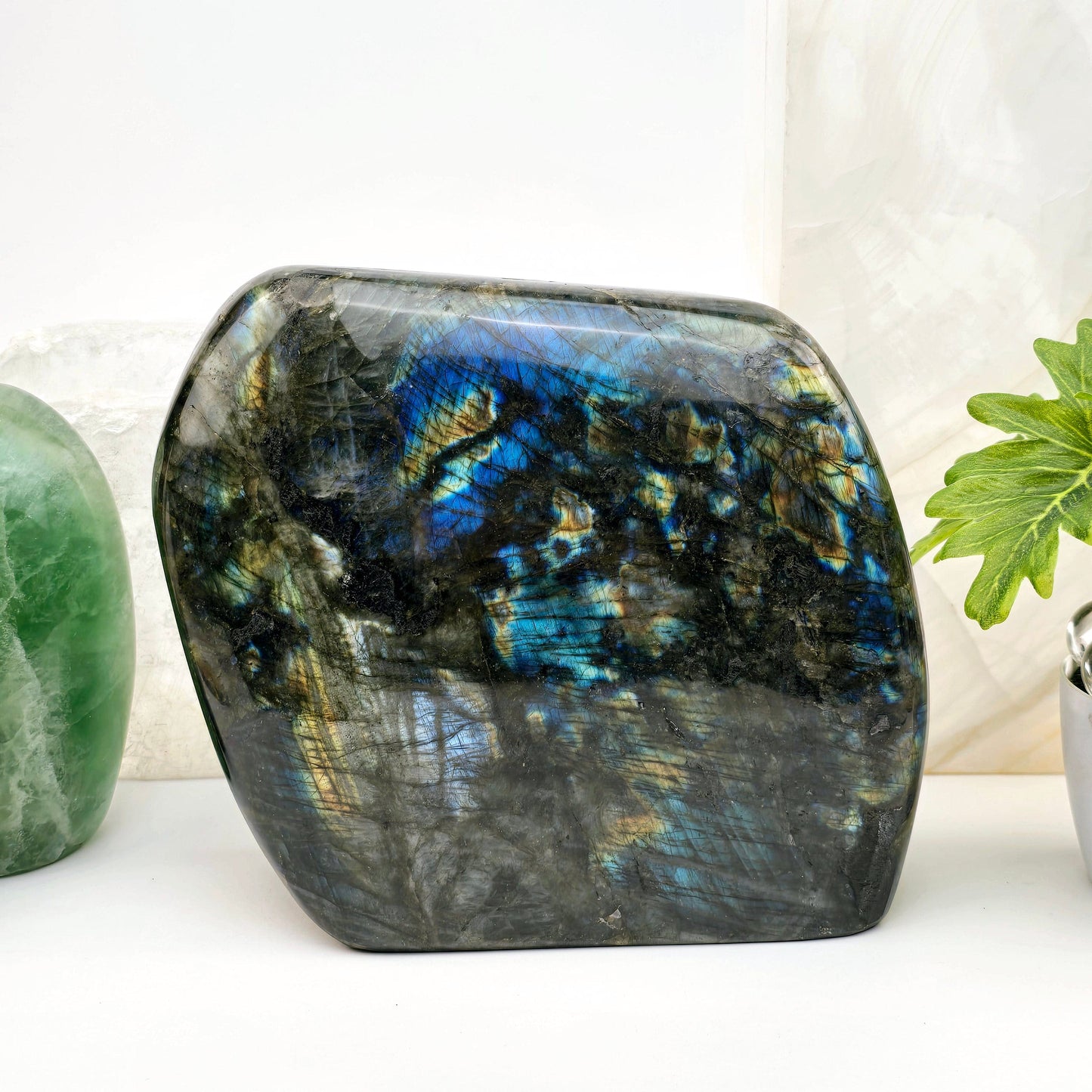 Labradorite Freeform Crystal Cut Base #2 - front view with props and plants in the background