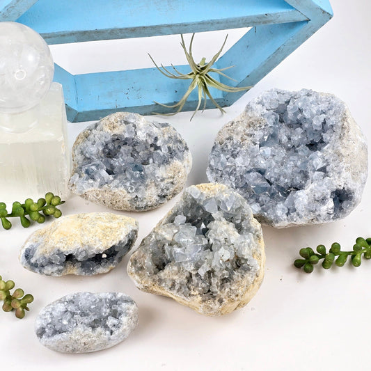 Celestite Crystal Cluster - By Weight - all weight categories with props and plants in the background