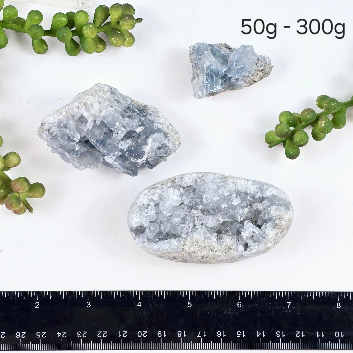 Celestite Crystal Cluster - By Weight 50g - 300g variant labeled with ruler for size reference