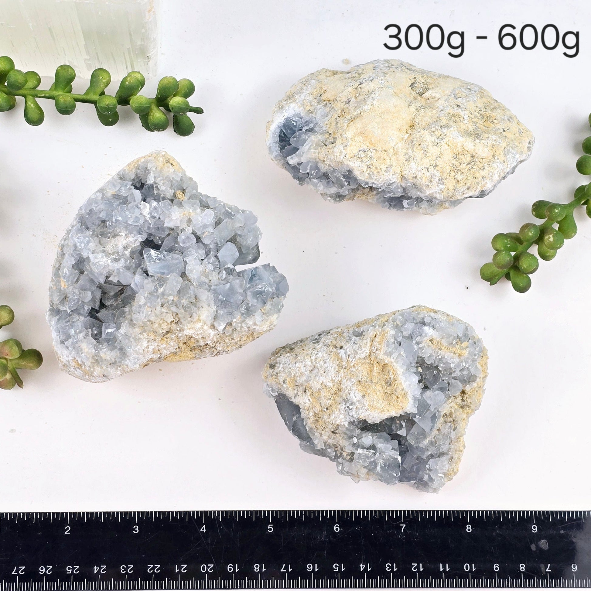 Celestite Crystal Cluster - By Weight 300g - 600g variant labeled with ruler for size reference