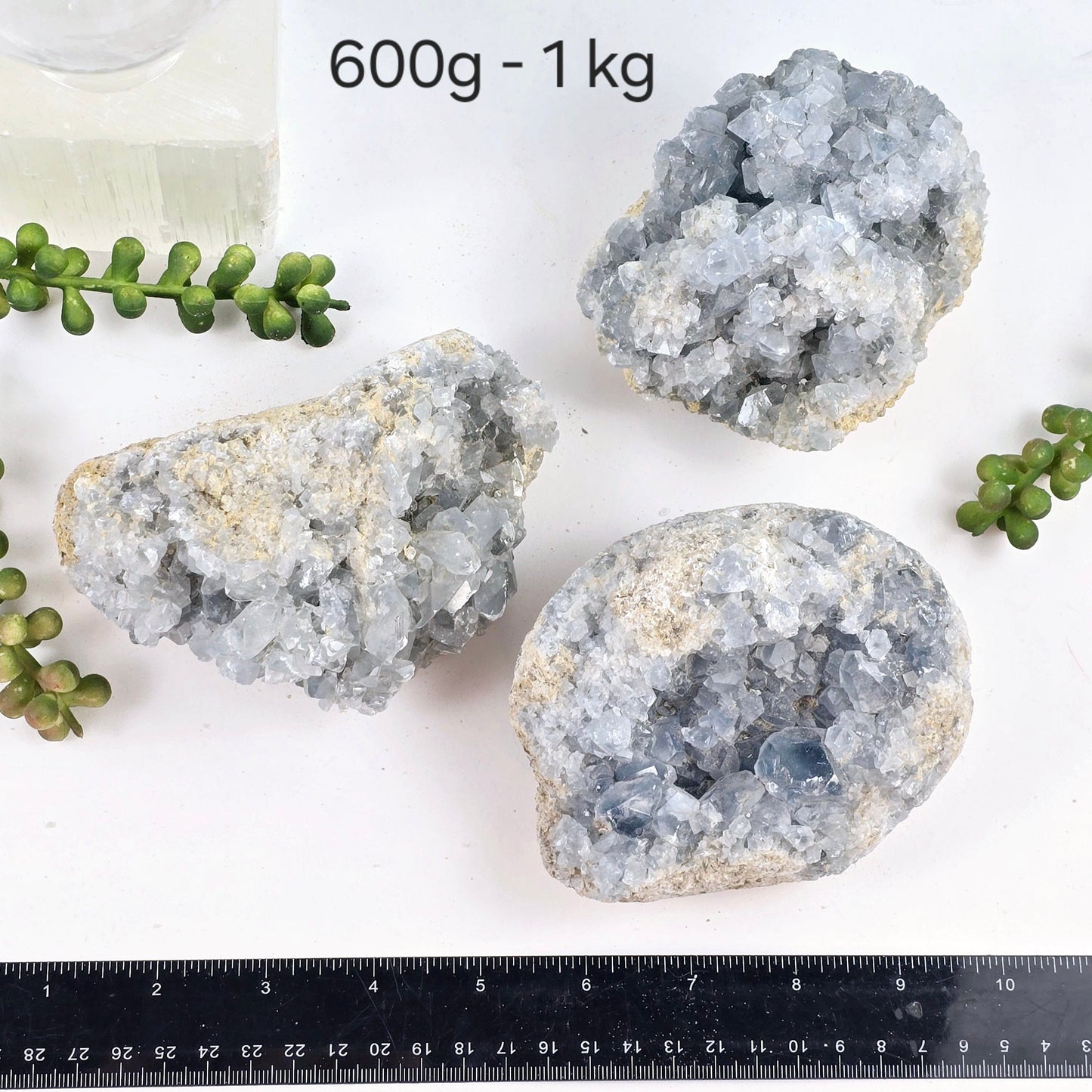 Celestite Crystal Cluster - By Weight 600g - 1kg variant labeled with ruler for size reference