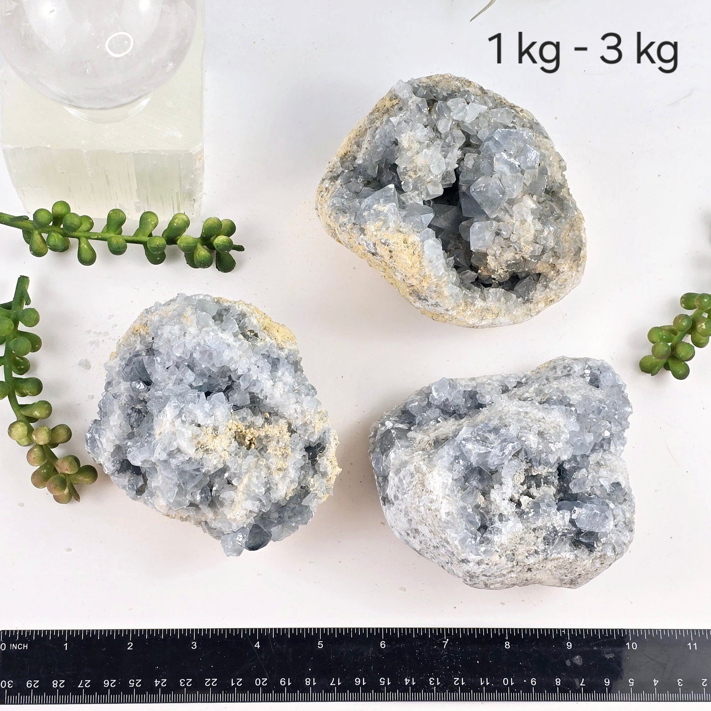 Celestite Crystal Cluster - By Weight 1 kg - 3kg variant labeled with ruler for size reference