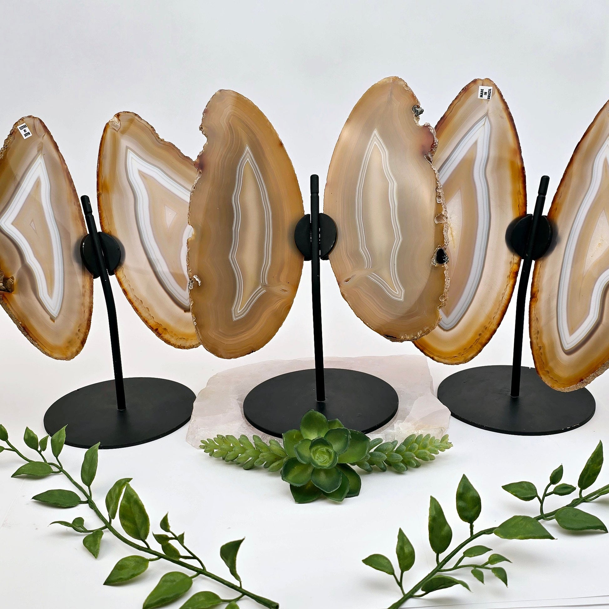 Agate Butterfly Wings - Crystal Slices Pair on Metal Stand - You Choose #1 all variants with props and plants in the background