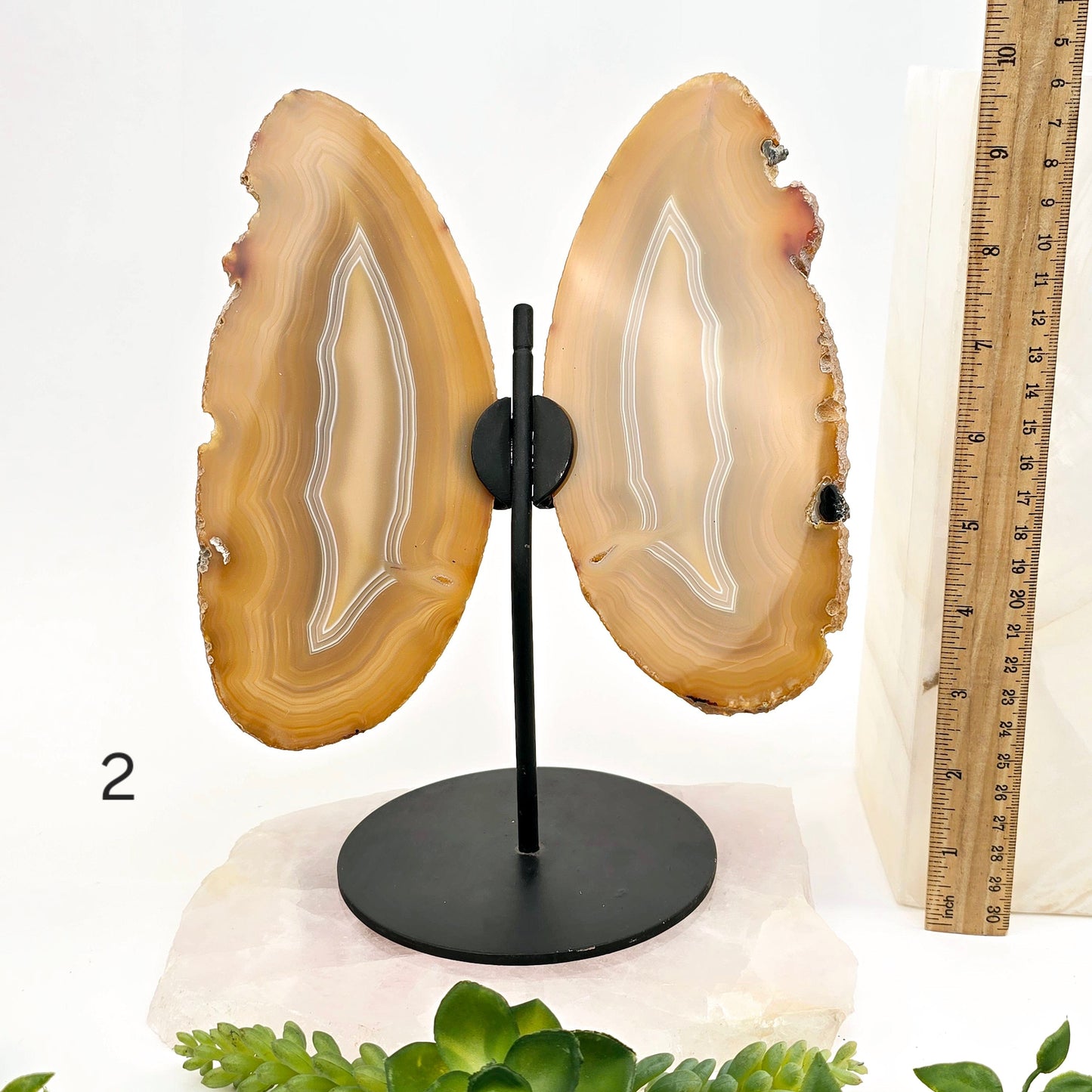 Agate Butterfly Wings - Crystal Slices Pair on Metal Stand - You Choose #1 variant 2 labeled with ruler for size reference