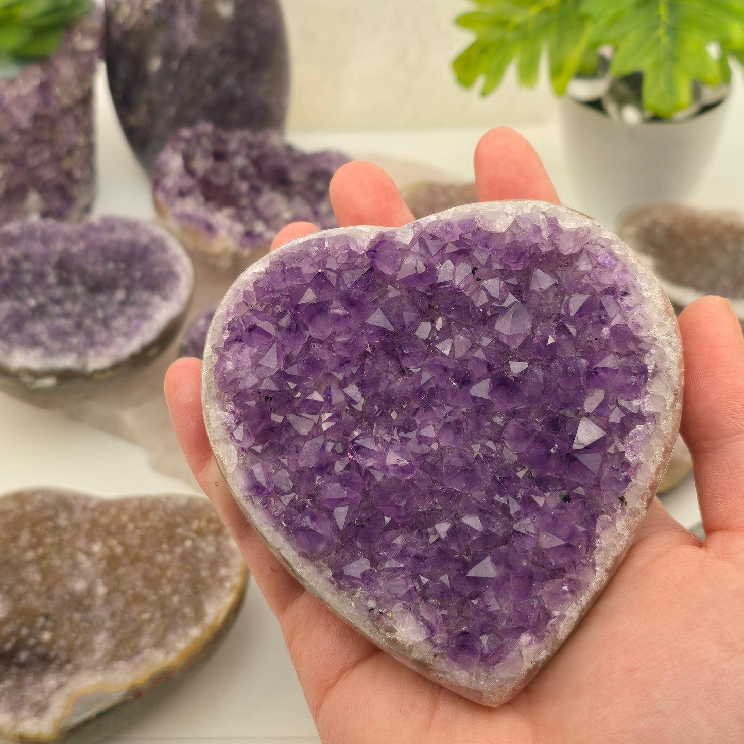 Amethyst Crystal Heart - You Choose #2 Variant 10 in hand for size reference with other variants in the background with props and plants