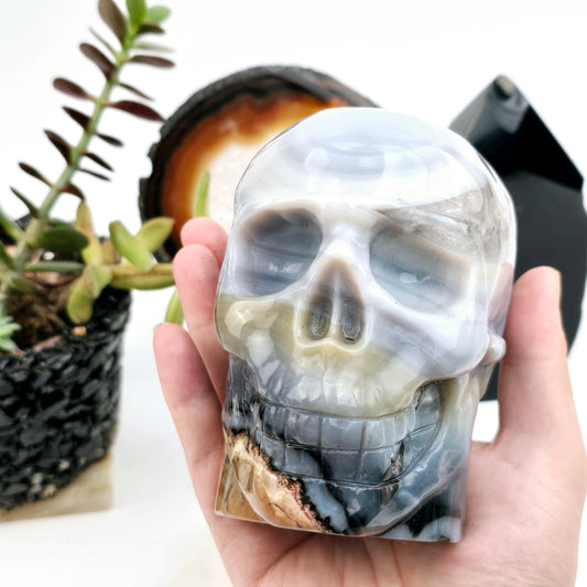 Volcano Agate Crystal Skull - One-of-a-Kind in hand for size reference with props and plants in the background