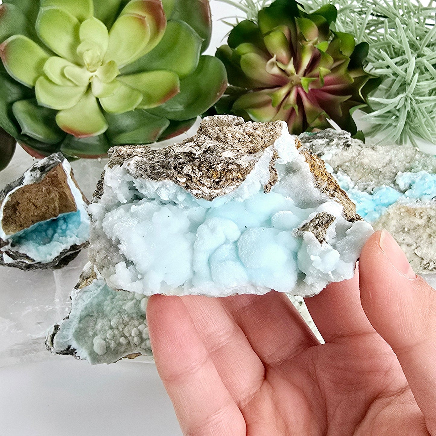 Blue Aragonite Crystal Cluster on Matrix - YOU CHOOSE #4 variant 2 in hand for size reference with other variants in the background with props and plants
