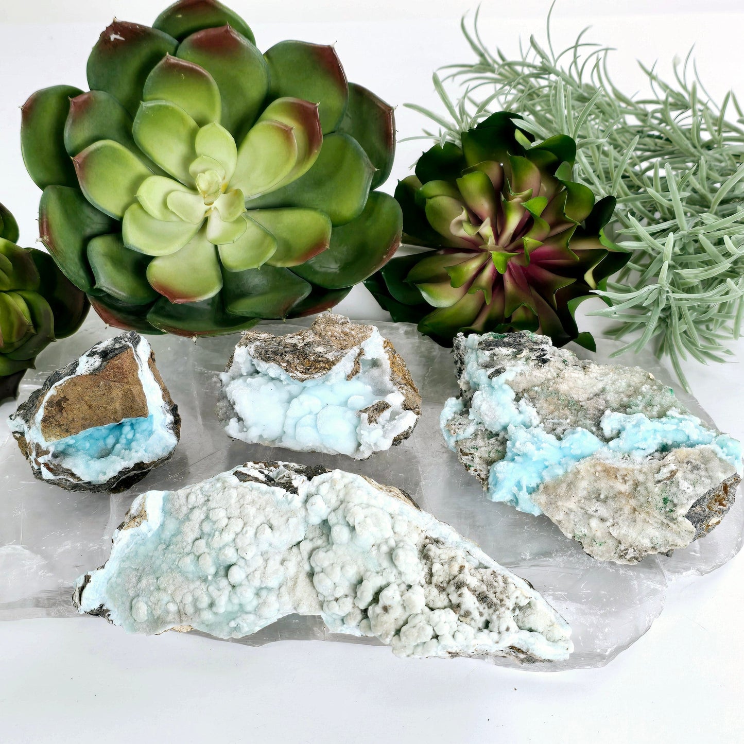 Blue Aragonite Crystal Cluster on Matrix - YOU CHOOSE #4 all variants on stone platter with props and plants in the background