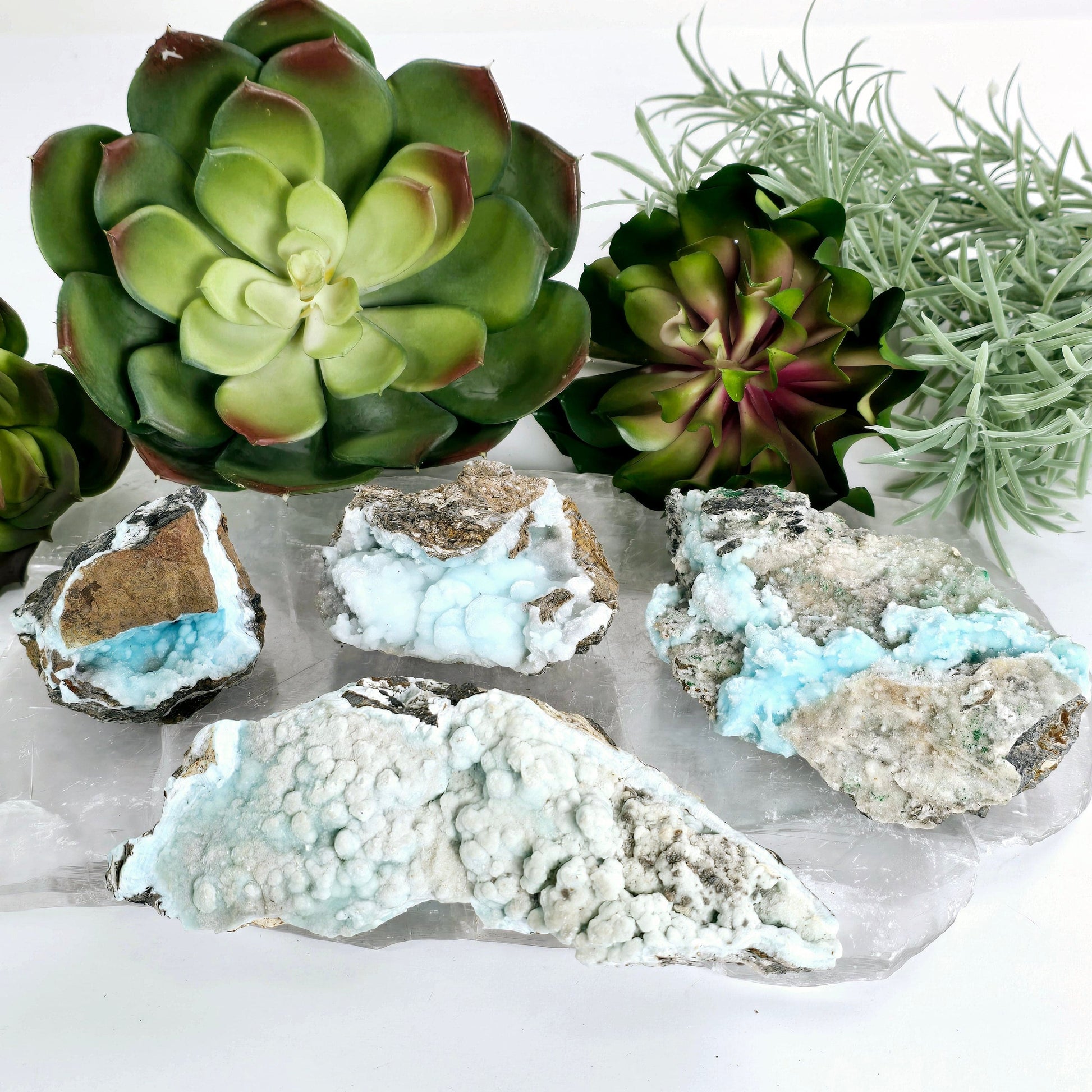 Blue Aragonite Crystal Cluster on Matrix - YOU CHOOSE #4 all variants on stone platter with props and plants in the background