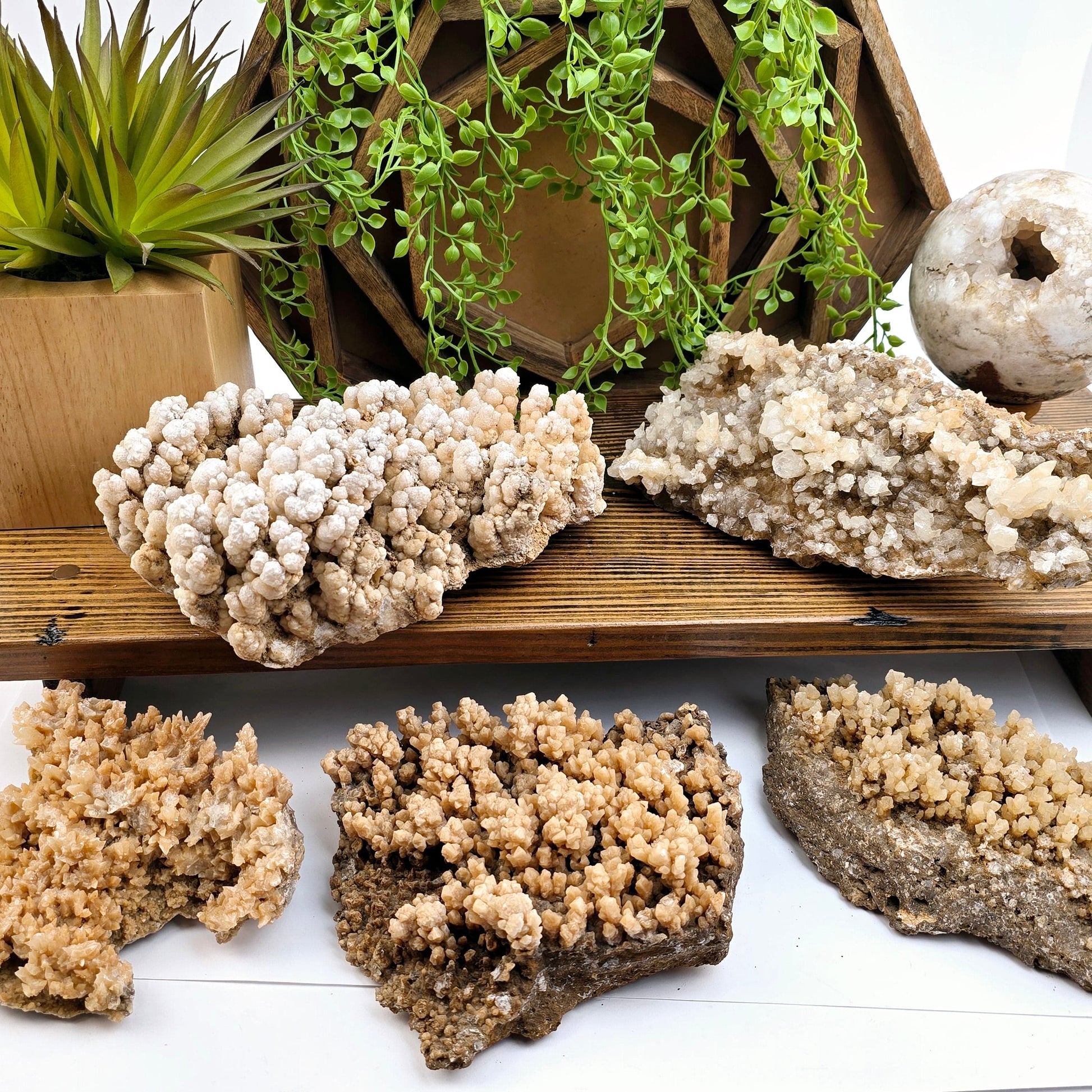  Calcite Crystal Cluster on Matrix - You Choose #1 all variants with props and plants in the background